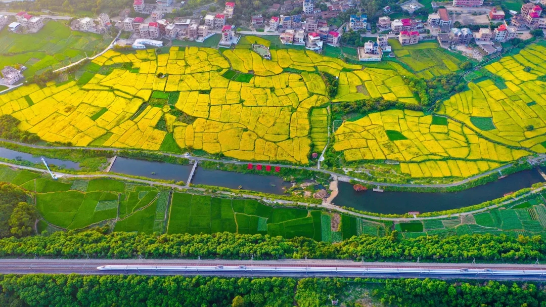 打造高標(biāo)準(zhǔn)農(nóng)田