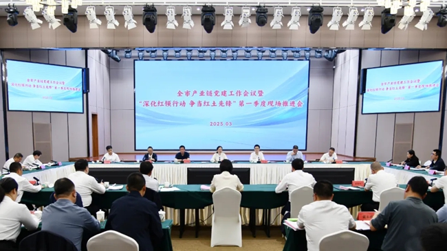 會議現(xiàn)場。武平縣委組織部供圖