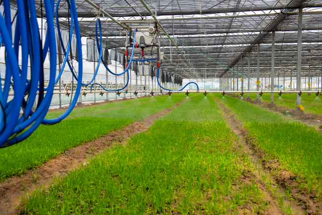 機(jī)具作業(yè)演示