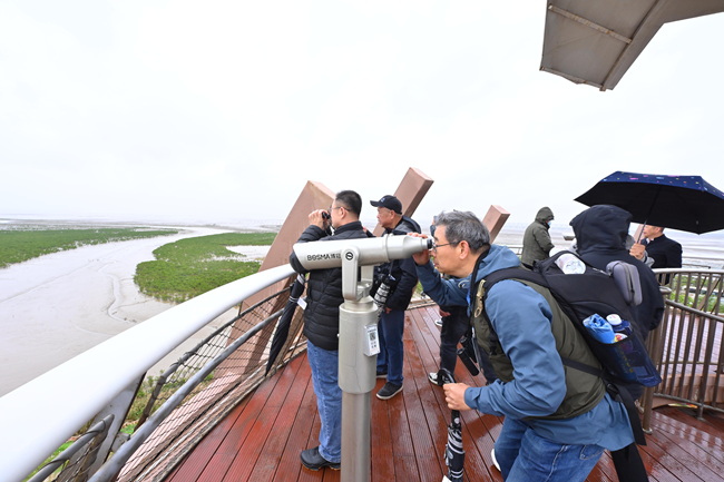 活動代表在泉州灣濕地現(xiàn)場參觀