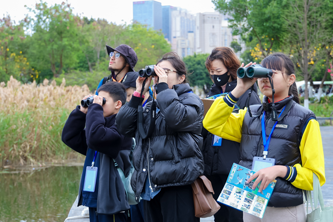 2025年晉江“愛鳥周”觀鳥活動