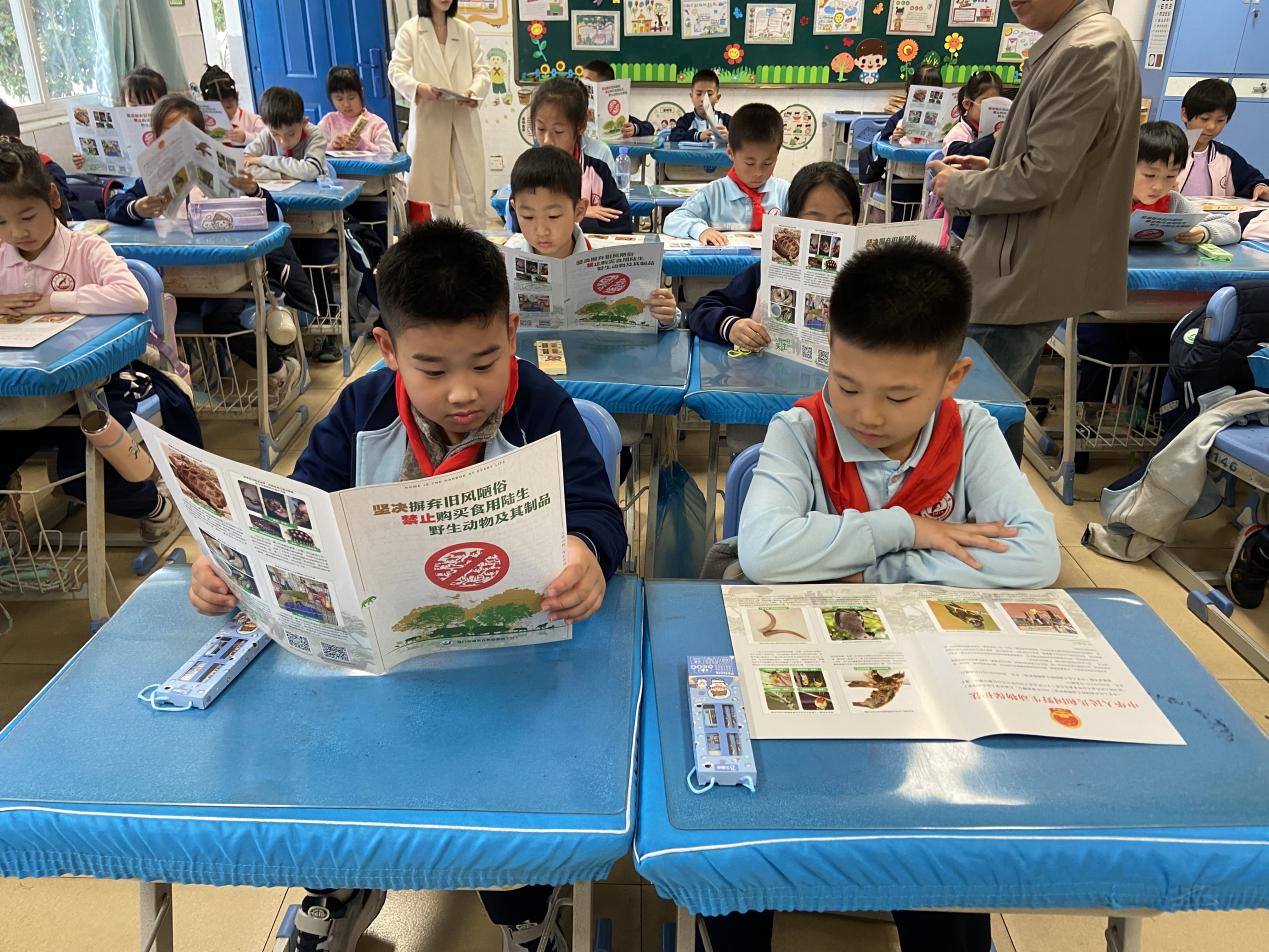 鳥類知識課堂。廈門市湖里自然資源所供圖