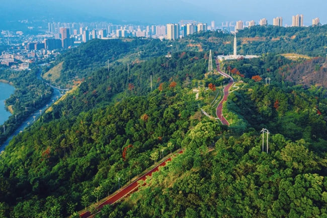 鳳山綠道。黃東華攝