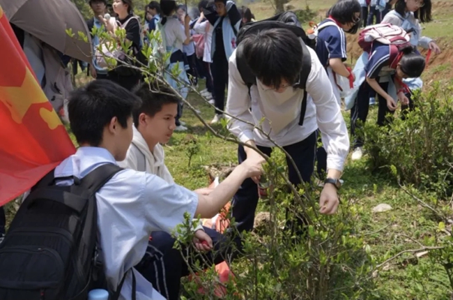 在茶園內(nèi)聆聽講述