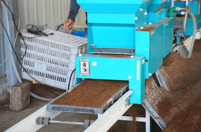 數(shù)字化育秧