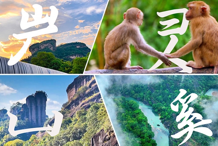 何以中國丨藏在武夷山的“野生”漢字