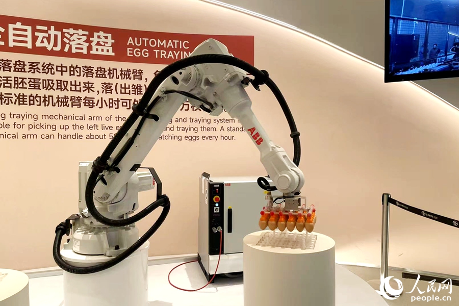 自動化流水線應(yīng)用為生產(chǎn)帶來提速。人民網(wǎng)記者 林盈攝