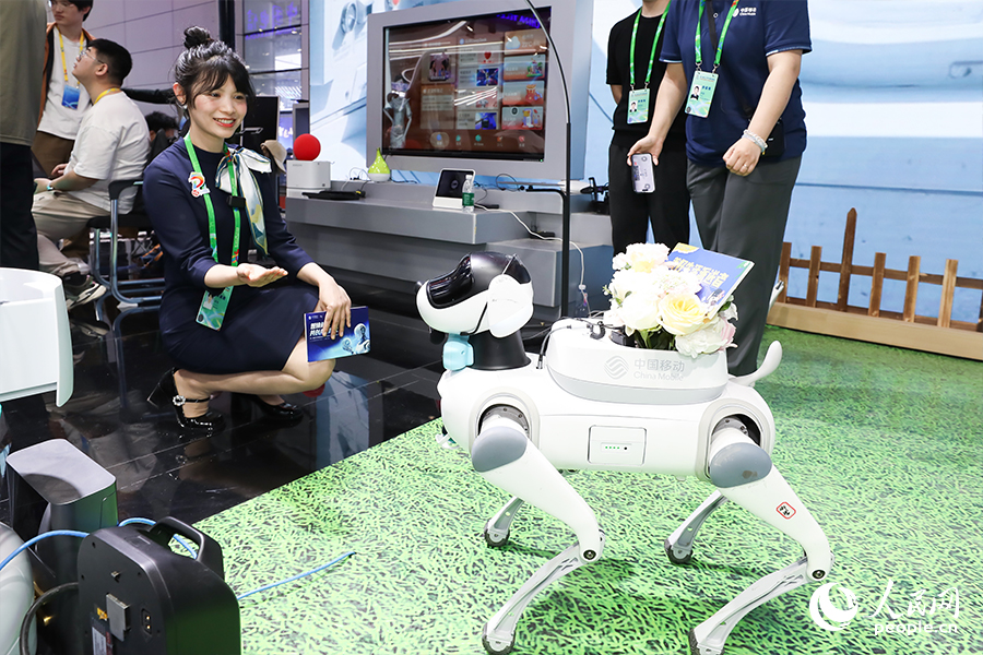 工作人員為市民現(xiàn)場演練機(jī)器狗。人民網(wǎng) 陳永整攝