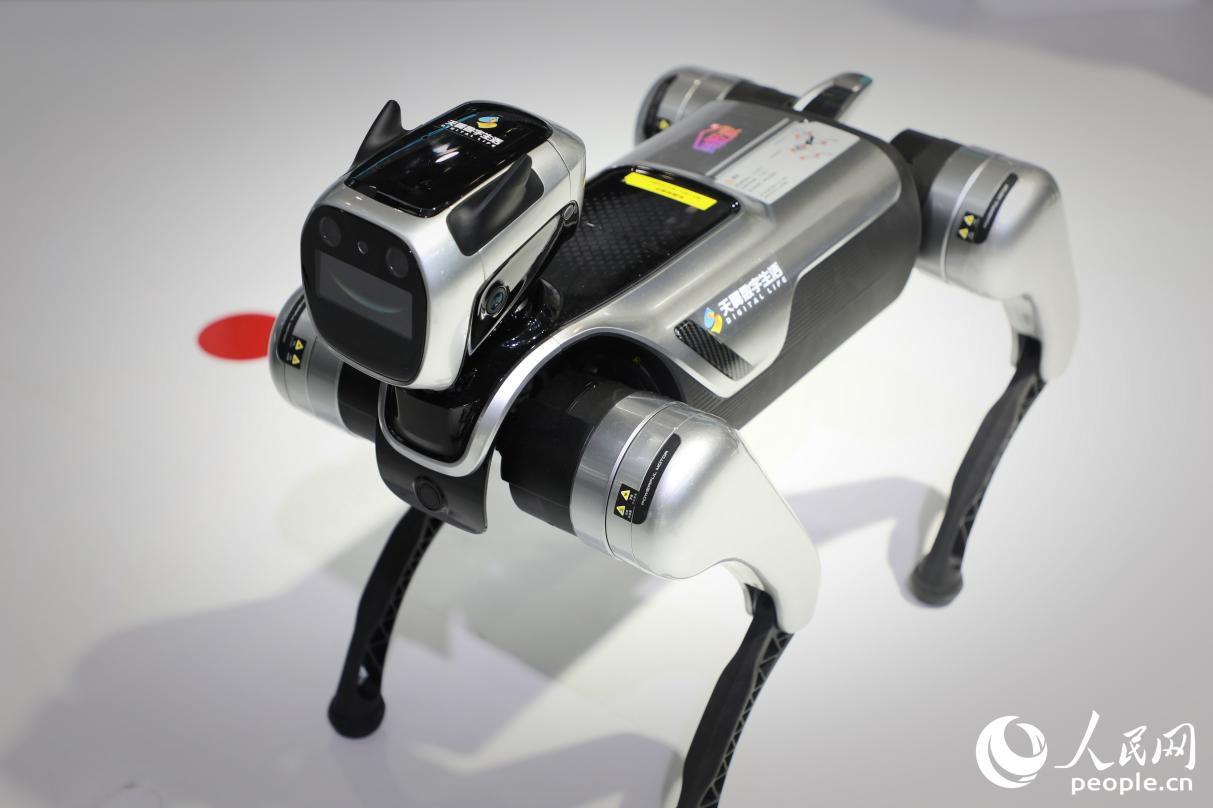 陪跑機器狗。人民網(wǎng) 李唯一攝