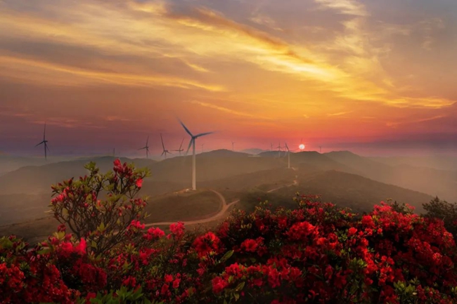 古田泮洋高崗草場