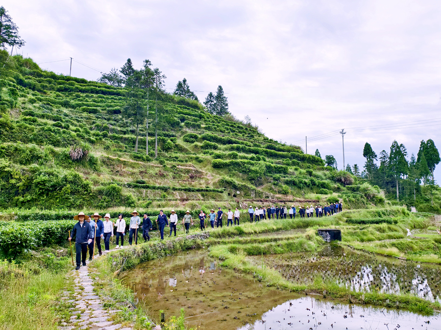 年輕干部重走“黨群連心路”。寧德市委組織部供圖