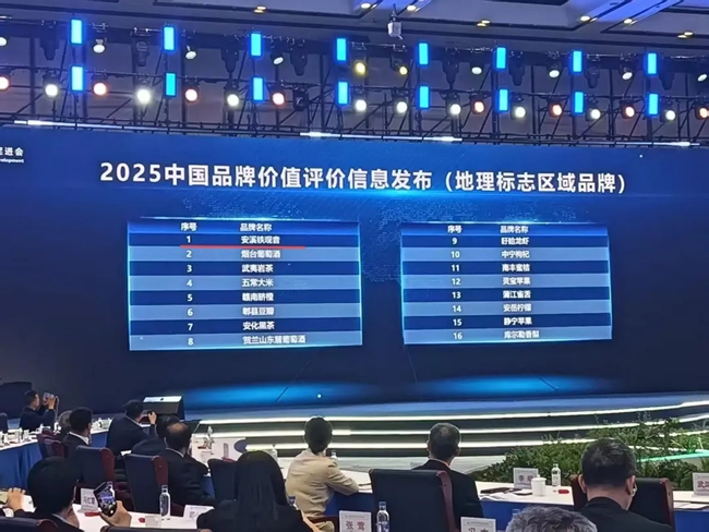 安溪鐵觀音以1443.07億元的品牌價(jià)值和899的品牌強(qiáng)度，位列區(qū)域品牌第一位