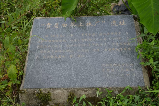 “貢眉白茶上林廠”遺址。建陽區(qū)融媒體中心供圖