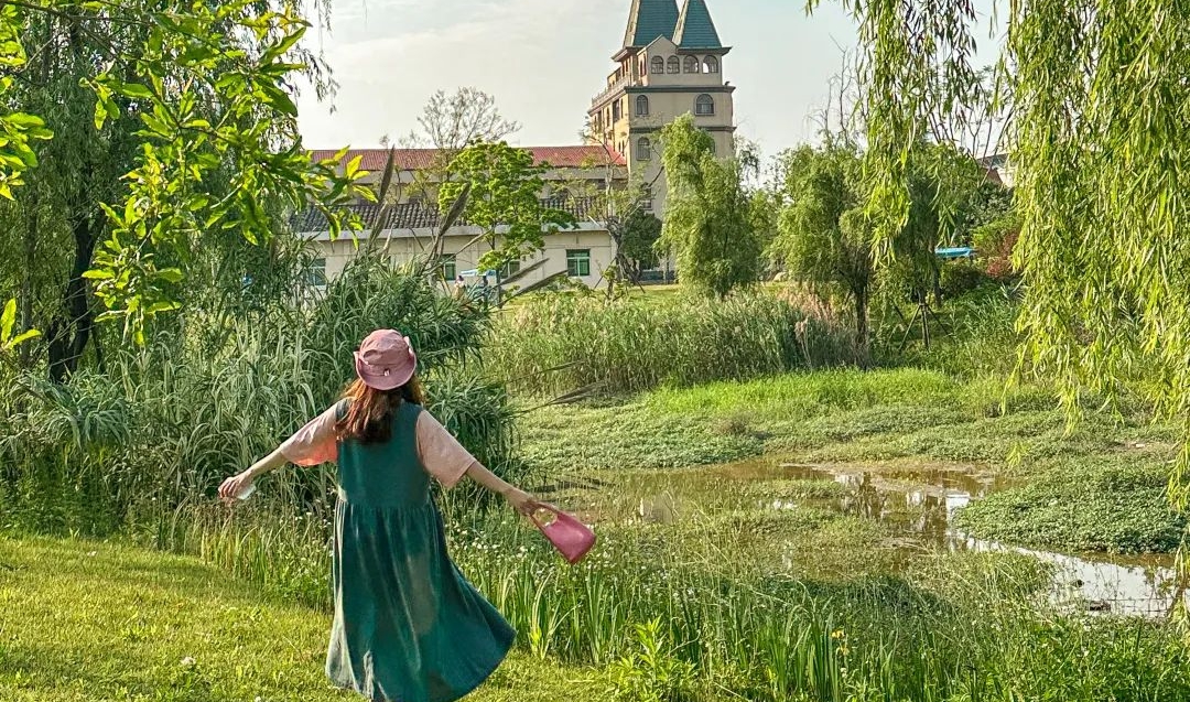 聽說，好天氣是露營的信號(hào)！