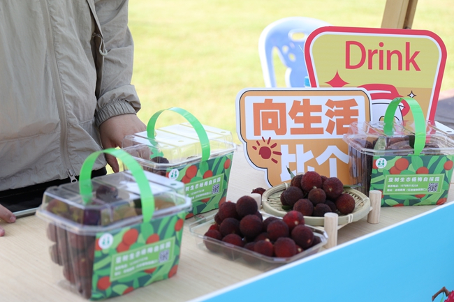 泛著紫紅光澤的楊梅