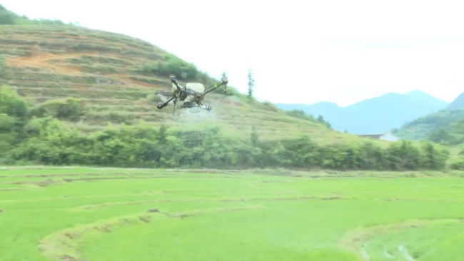 無人機(jī)作業(yè)