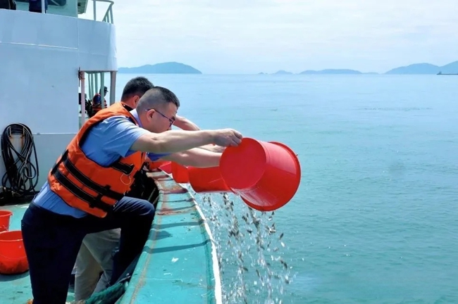 放流活動現(xiàn)場