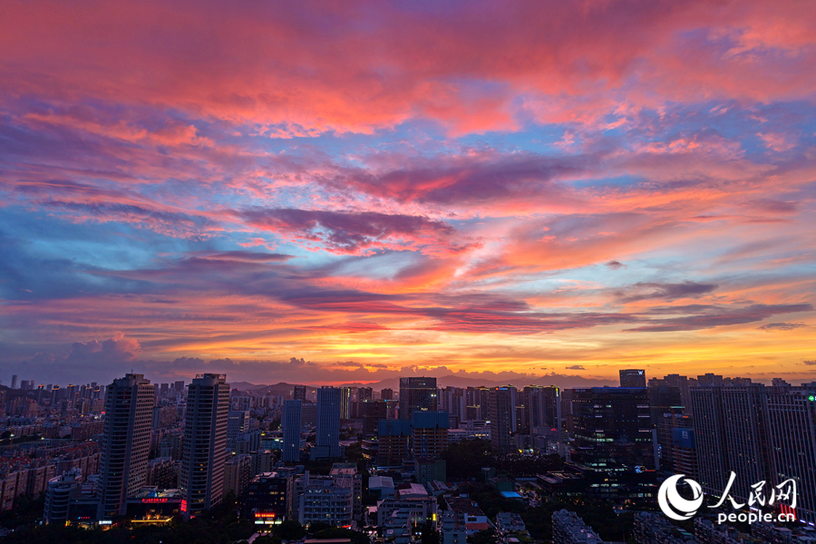 廈門絢麗晚霞美如畫。人民網(wǎng)記者 陳博攝