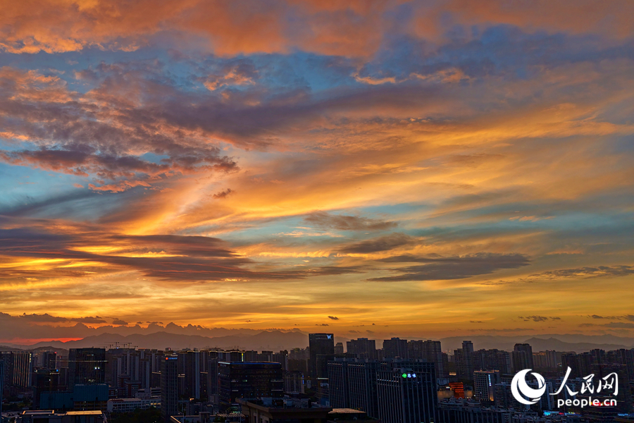 廈門軟件園二期上空滿目金黃。人民網(wǎng)記者 陳博攝