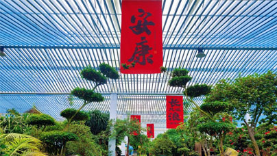 閩西小鎮(zhèn)藏著“杜鵑花王國(guó)”走進(jìn)“中國(guó)杜鵑花之鄉(xiāng)”福建省龍巖漳平市永福鎮(zhèn)，三藤杜鵑生態(tài)莊園內(nèi)的上百株杜鵑花枝繁葉茂、形態(tài)各異，令人賞心悅目。