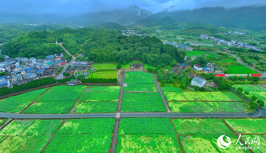 如今的古田鎮(zhèn)已是舊貌換新顏。人民網(wǎng) 李昌乾攝