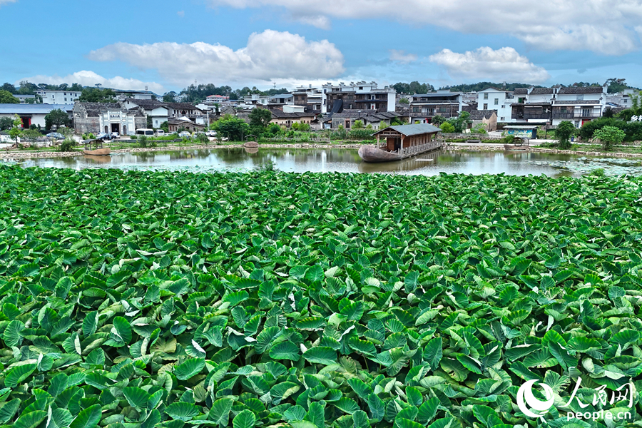 古船、古民居與自然景觀融為一體。人民網(wǎng) 李昌乾攝