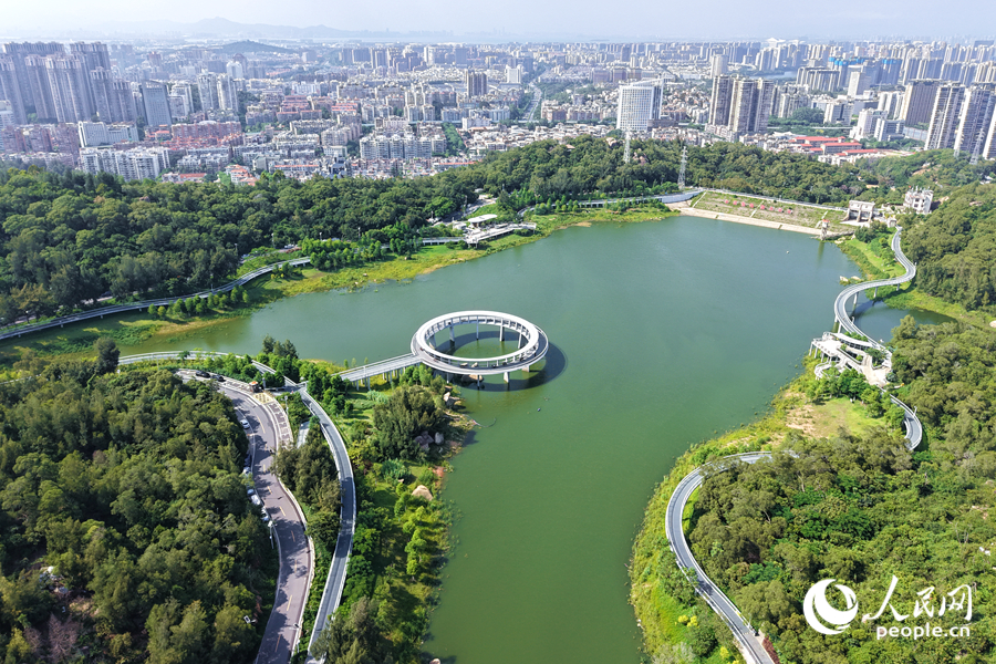 盛夏時節(jié)的廈門東坪山風(fēng)景秀麗。人民網(wǎng)記者 陳博攝