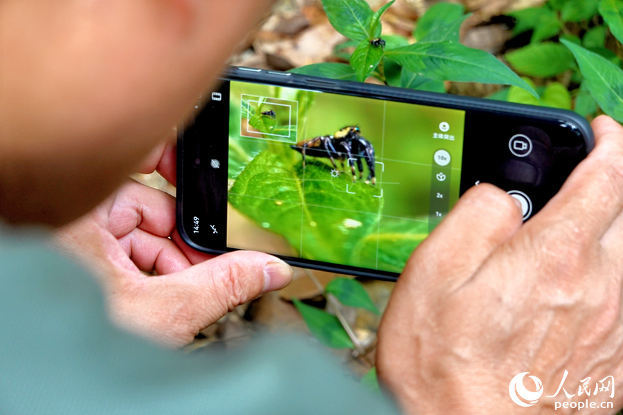 在明溪山林中可以偶遇各種小動物。人民網(wǎng) 楊灝昱攝