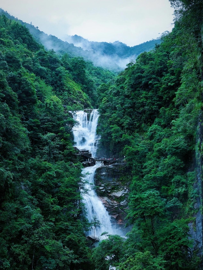 山水為幕，沁涼入心