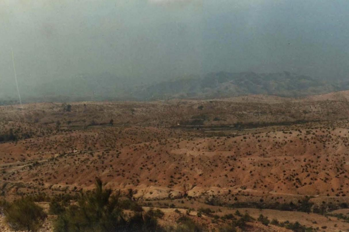 長汀縣羅地草山（1981年）。長汀縣水土保持中心供圖