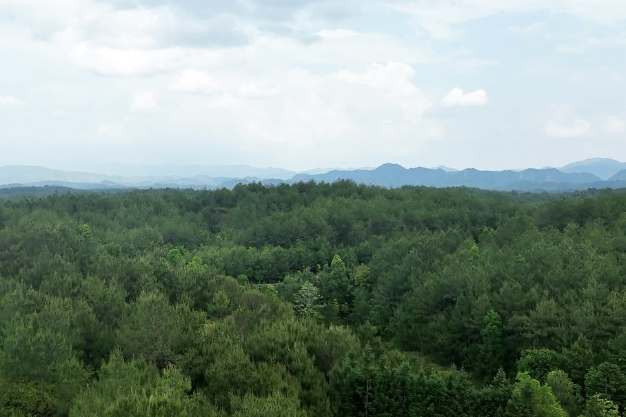 長汀縣羅地草山（2022年）。長汀縣水土保持中心供圖