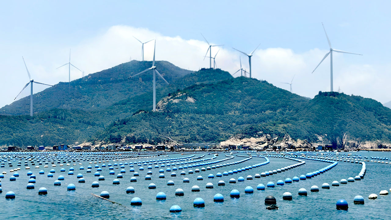 這片“海上牧場(chǎng)” “鮑”發(fā)力十足