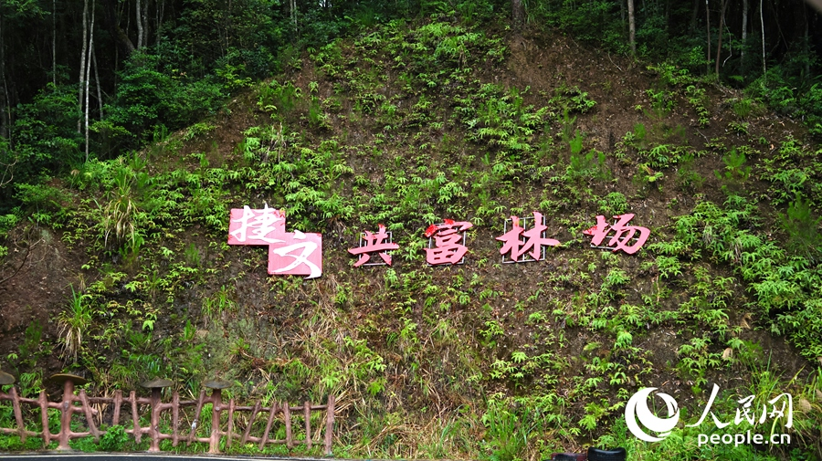 捷文共富農(nóng)場。人民網(wǎng) 楊灝昱攝