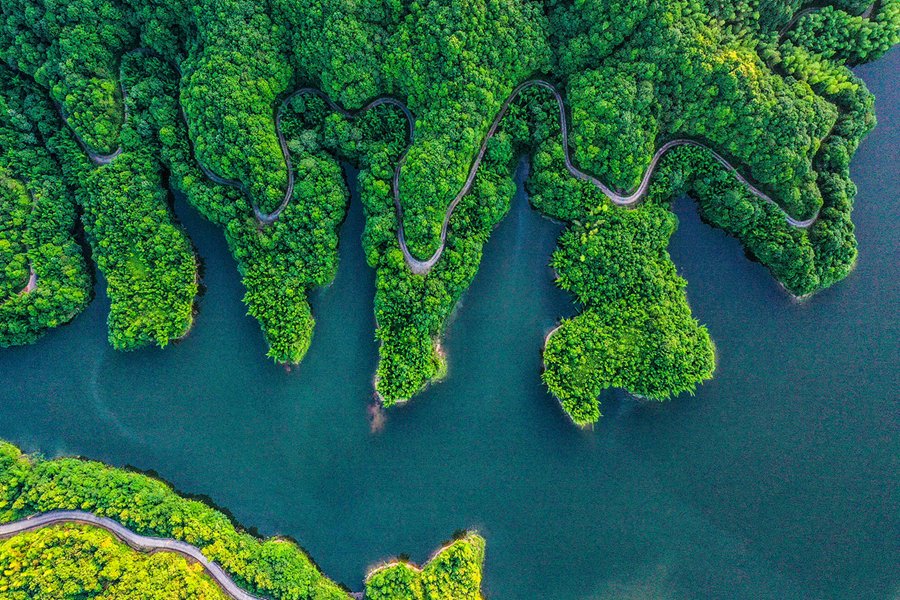 武平山林。武平縣林業(yè)局供圖