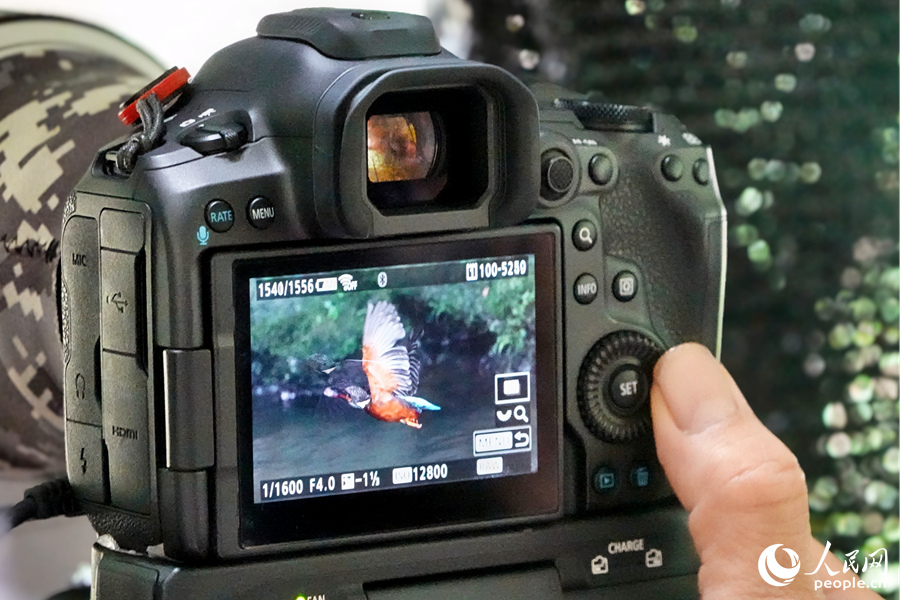 一位“鳥友”向記者展示當日拍攝成果。人民網(wǎng) 楊灝昱攝