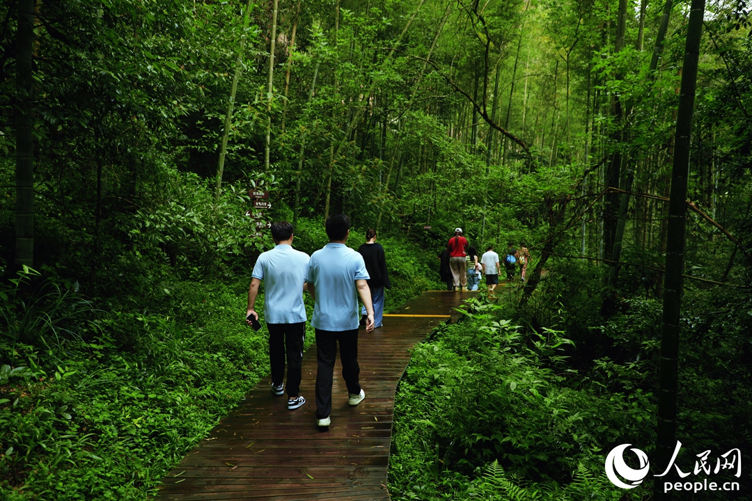 游客在寨下大峽谷游玩。人民網(wǎng) 李唯一攝