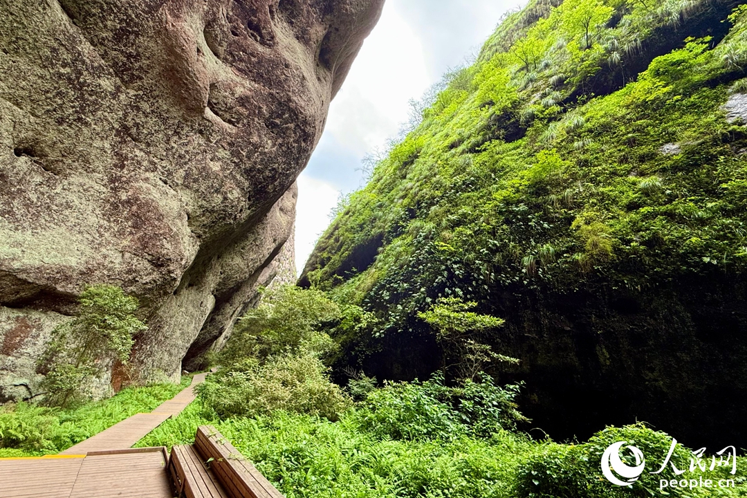 地殼運動產(chǎn)生的裂隙。實習生 林翔攝