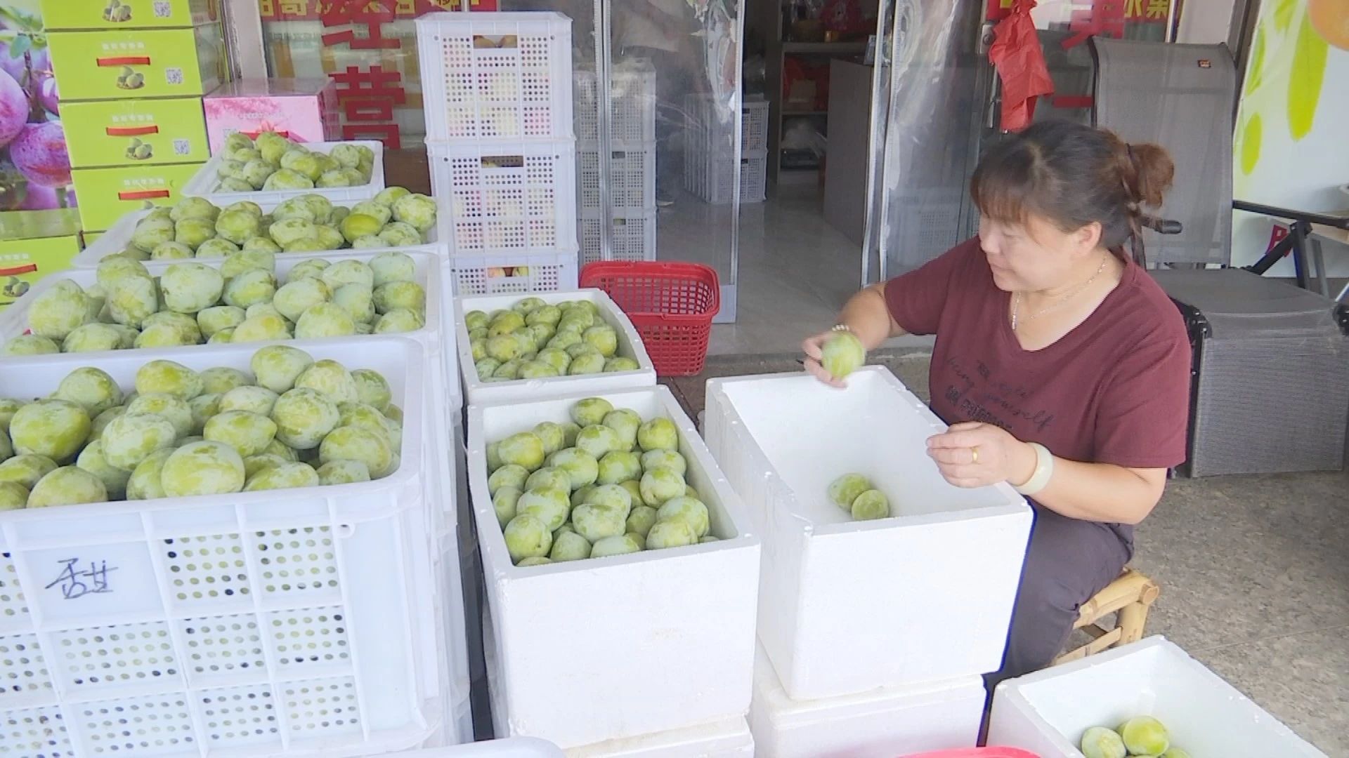 商家正在整理擺放新鮮上市的油奈