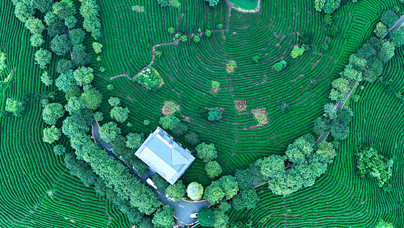 一片“金葉”連兩岸這些年，漳平臺(tái)創(chuàng)園開創(chuàng)了10項(xiàng)“全國(guó)首創(chuàng)”做法，并連續(xù)8年在全國(guó)臺(tái)創(chuàng)園建設(shè)發(fā)展考評(píng)中獲得第一（優(yōu)秀等次）。