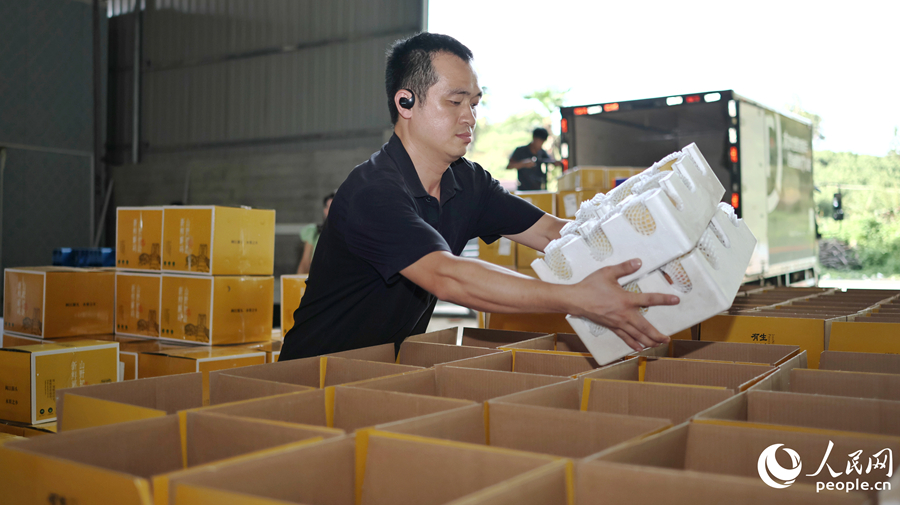 黃桃在集散中心打包分裝后，準(zhǔn)備發(fā)往全國各地。人民網(wǎng) 李昌乾攝