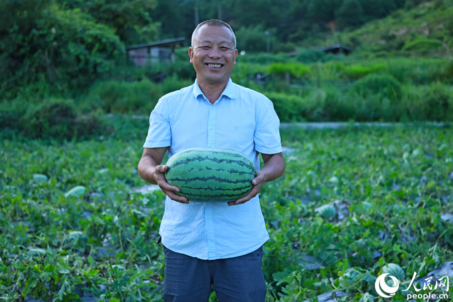 賴武村黨支部書記賴清發(fā)展示豐收大西瓜。人民網(wǎng) 李昌乾攝