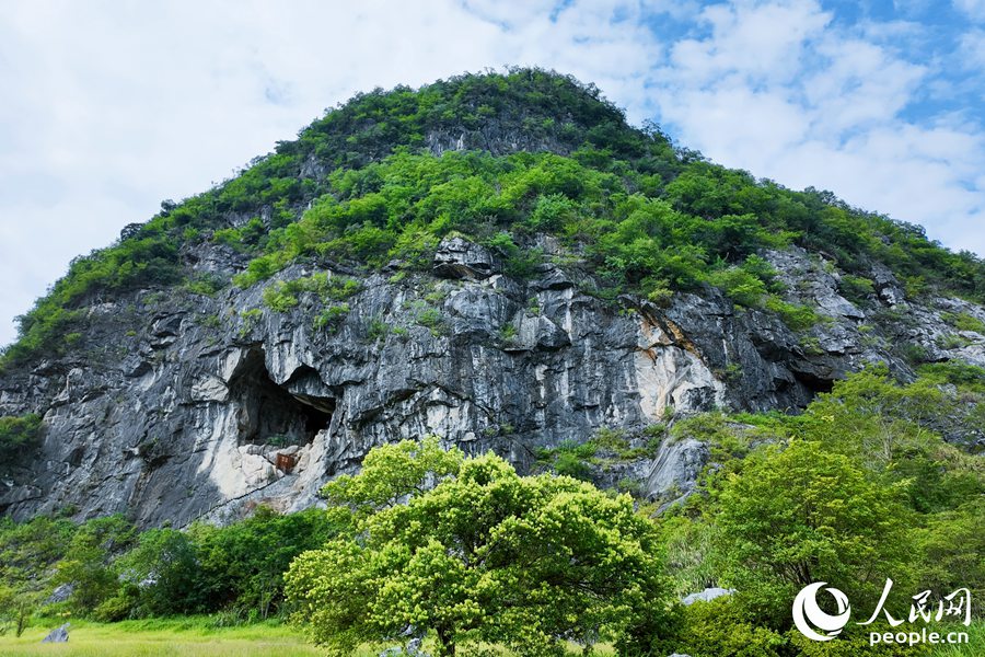靈峰洞相對高度約37米，考古發(fā)掘面積230平方米，是我國東南沿海地區(qū)發(fā)現最早的舊石器時代洞穴遺址，把福建有人類活動的歷史提前了近20萬年。人民網 楊灝昱攝