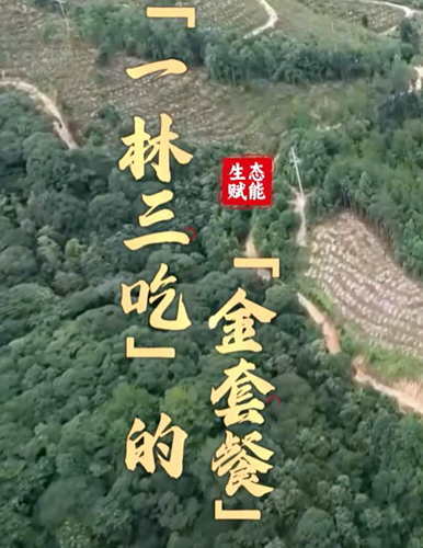 一片林子，除了賣樹還能做什么？