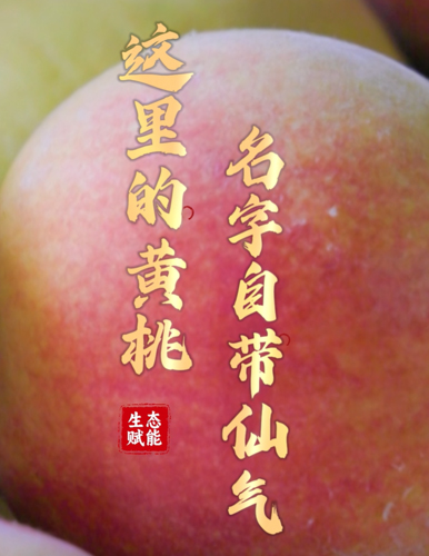 這里的黃桃，名字自帶仙氣