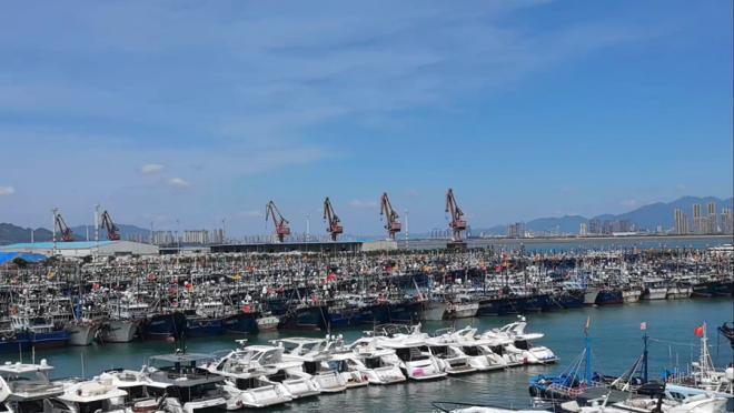 8月13日，在廈門高崎避風塢，大量船舶已提前進港避風。福建省海事局供圖