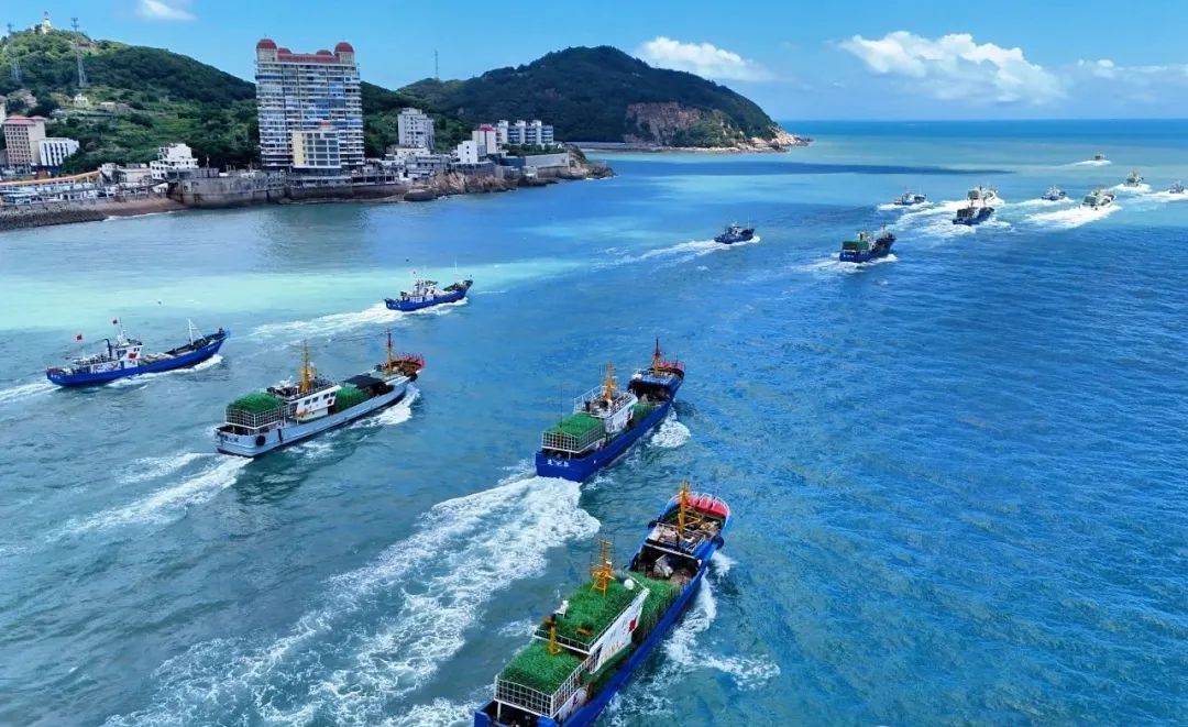 連江漁民攢足了勁兒開(kāi)啟新一輪耕海牧漁