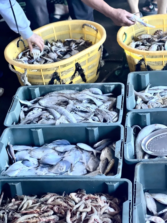 攤位上擺滿了各色海貨