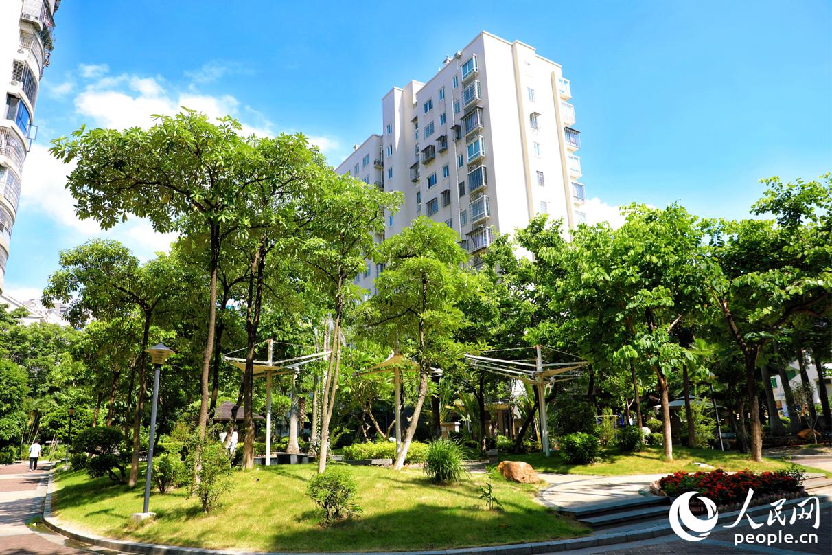 廈門市集美區(qū)寧寶社區(qū)通過黨建引領(lǐng)“自治+物業(yè)顧問”推動社區(qū)環(huán)境整治煥新。人民網(wǎng) 李唯一攝