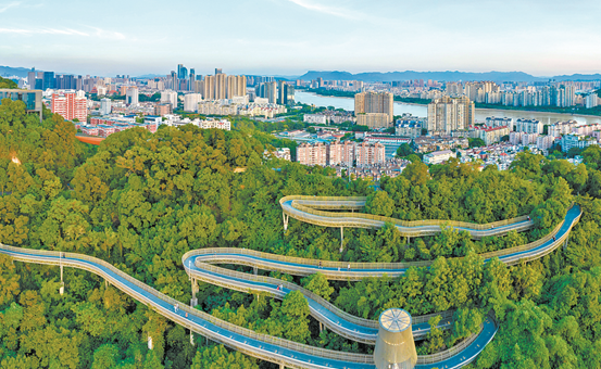 福道在綠樹(shù)叢中蜿蜒。林雙偉攝