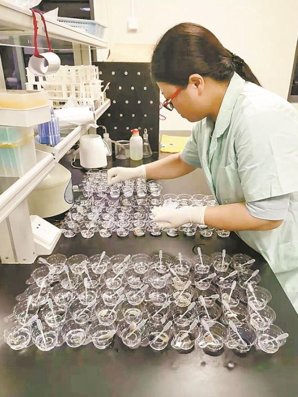 夏商中埔蔬菜批發(fā)市場(chǎng)對(duì)蔬菜開(kāi)展食品安全抽樣檢測(cè)。